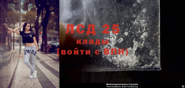 прущие грибы Гусиноозёрск