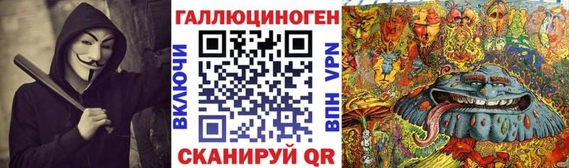 Псилоцибиновые грибы Cubensis  Чаплыгин 